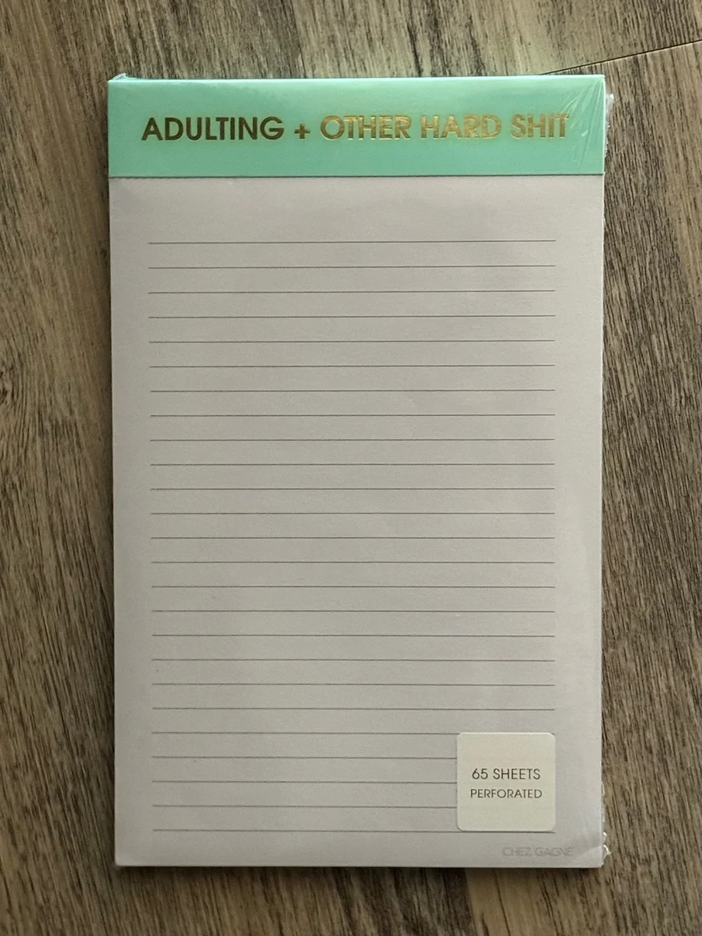 Adulting + Other Hard Shit Mint Lined Notepad